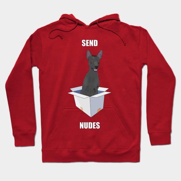 Send Nudes! Hoodie by childofthecorn